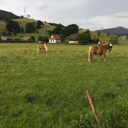Lejlighed Bella Margitta Baumann Stegen