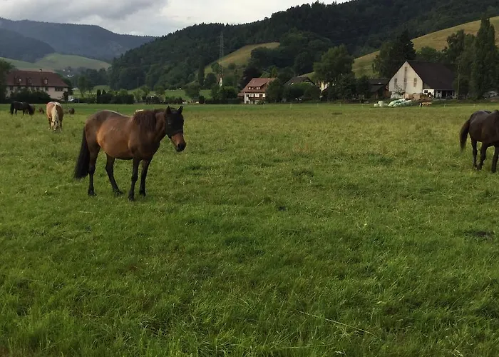 شقة Bella Margitta Baumann *