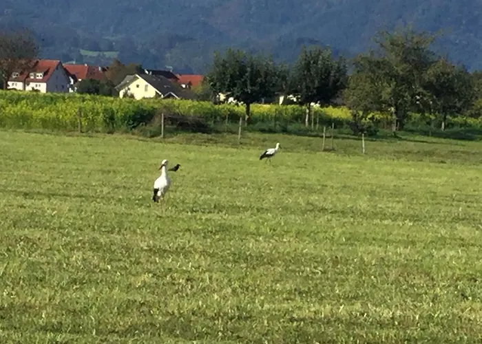 Bella Margitta Baumann *