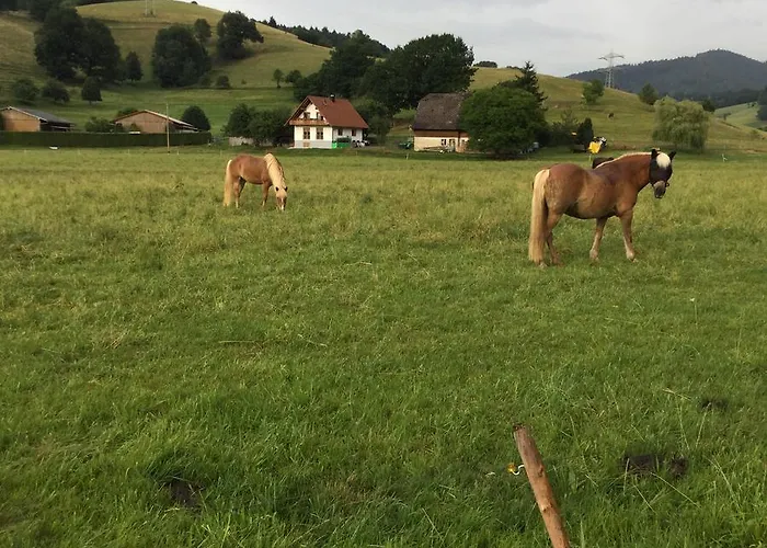 شقة Bella Margitta Baumann ستيغين